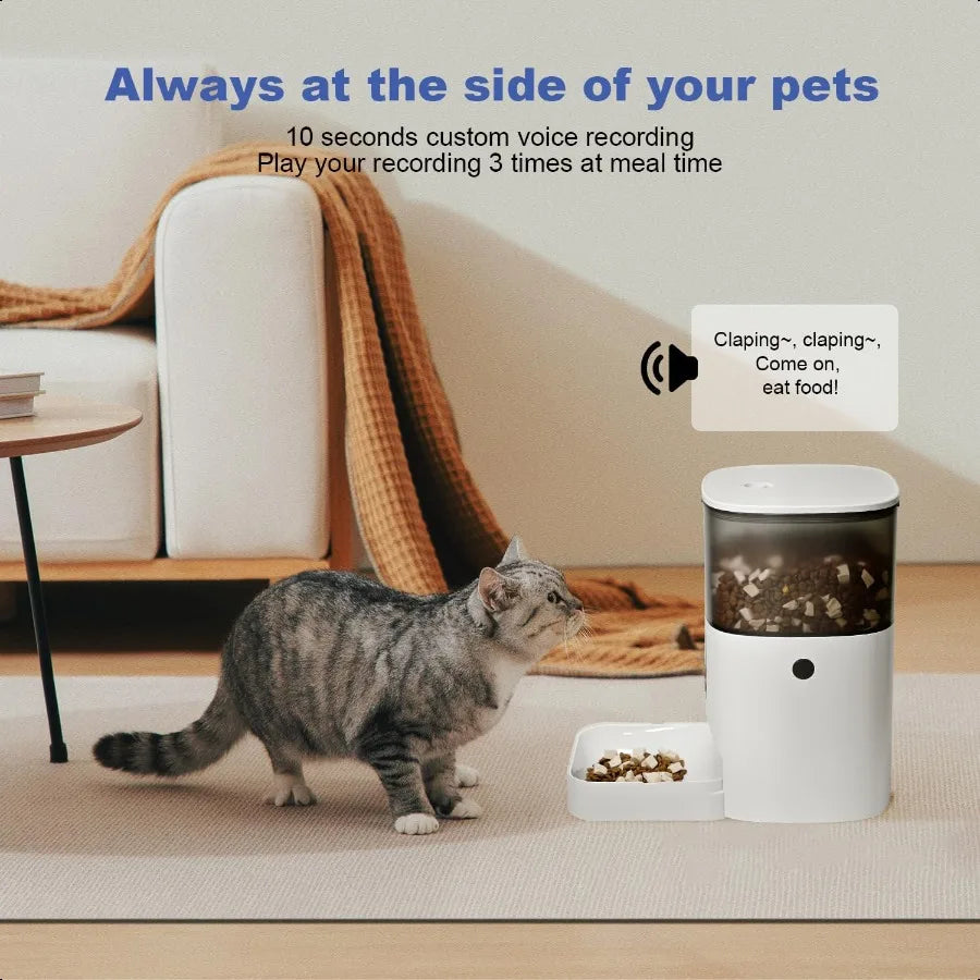 Automatic Cat Feeder 4L Cat Food Dispenser with 10s Voice Recorder Pet Feeder up to 8 Meals per Day Timed Dog Feeder with Dry F