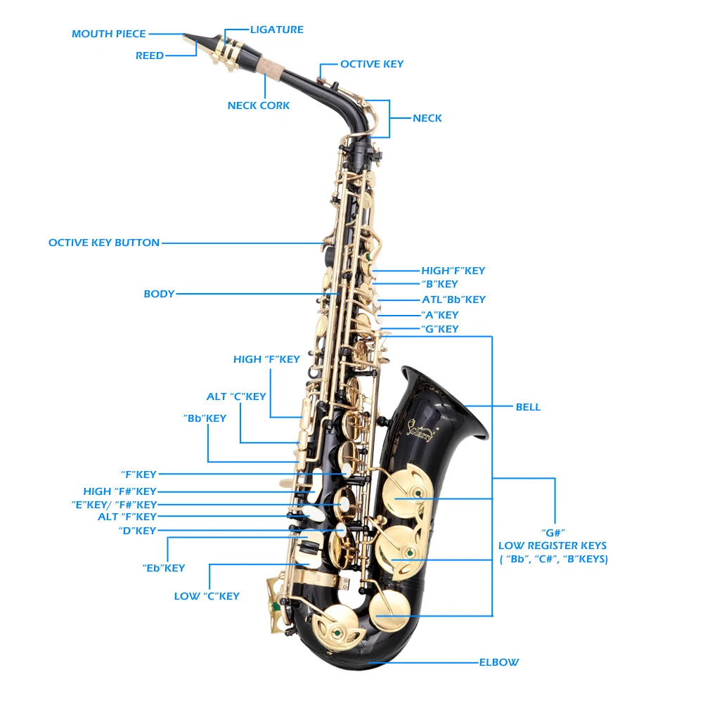 Black Color Brass Material Alto Saxophone E-Flat Alto SAX Eb with 11reeds, case,carekit,  for Students and Beginners