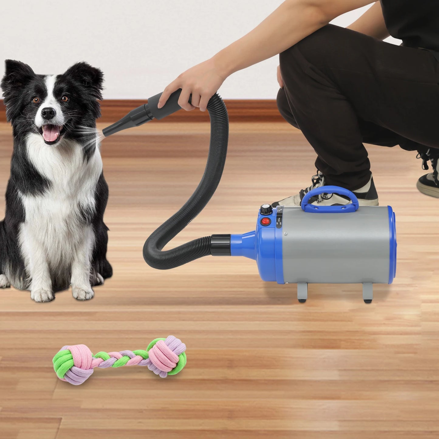 2200W Pet Hair Dryer, Adjustable Design Wind Speed, Electric Dog Cat Hair Dryer, Pet Drying Machine with 4 Nozzles