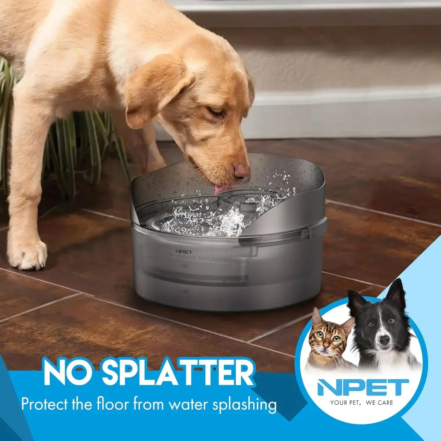 NPET DF10-SG Dog Water Fountain 1.3 Gallon Large Automatic Dog Water Bowl with Splatter Guard