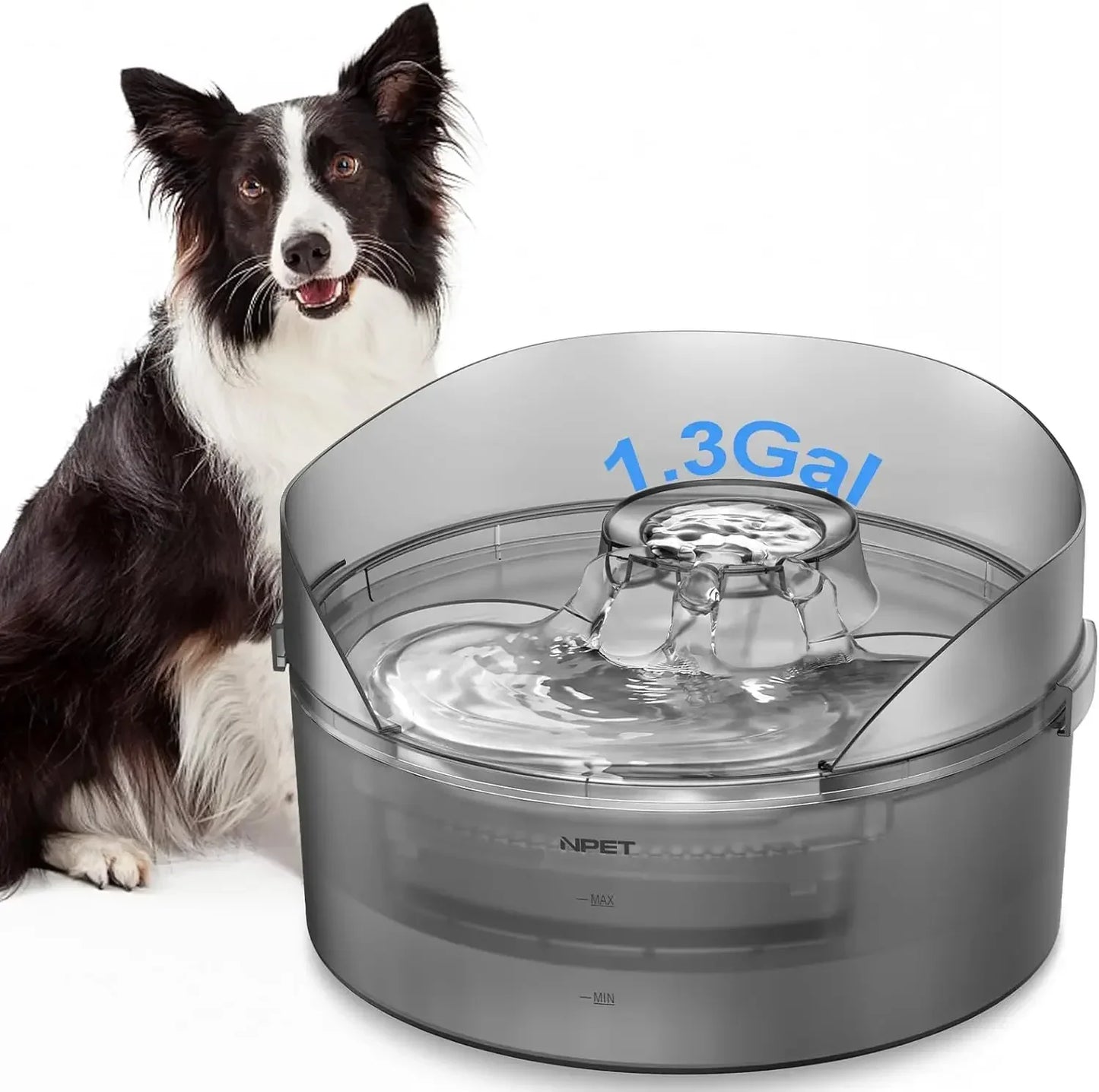 NPET DF10-SG Dog Water Fountain 1.3 Gallon Large Automatic Dog Water Bowl with Splatter Guard