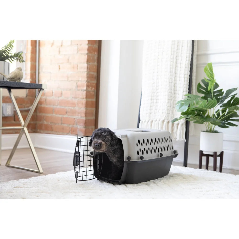 Portable X-Small Plastic Dog Crate Easy Assembly Pet Carrier Dogs Cats up to 10 lbs with Ventilation and Secure Door