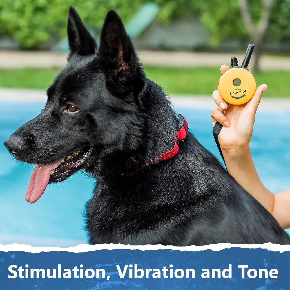 Rechargeable Dog Trainer Ecollar with Remote for Small, Medium, and Large Dogs by E-Collar Technologies - Electric, Vibration